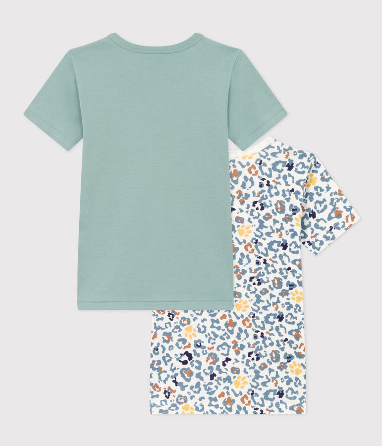 Lot de 2 tee shirts manches courtes en coton petit gar&ccedil;on multicouleur