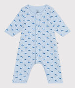 bleu TOUDOU/ ALASKA