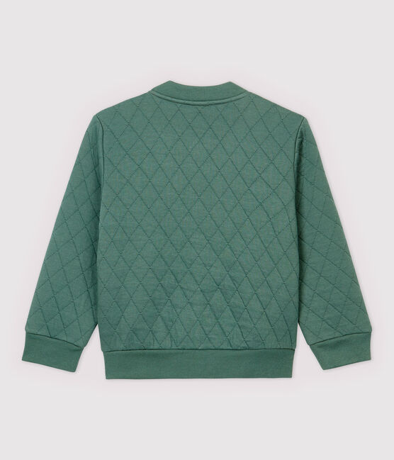 Tubic cardigan in teddy-stijl voor jongens groen VALLEE