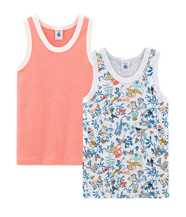 Set van 2 jongenshemdjes multicouleur