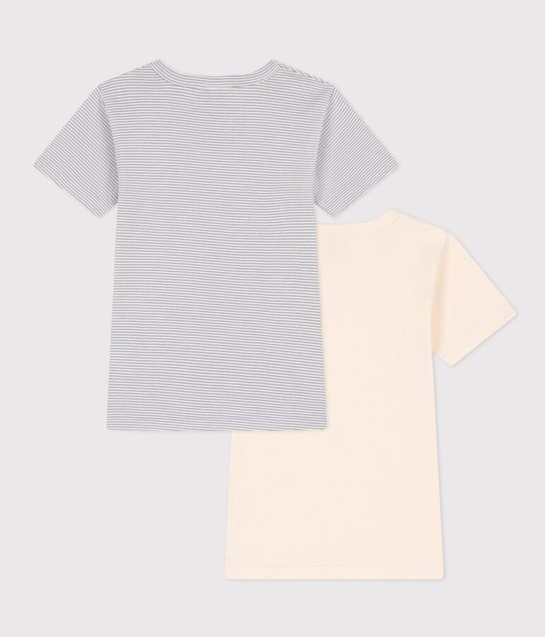 Lot de 2 tee shirts manches courtes en coton petit gar&ccedil;on multicouleur