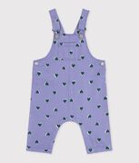 violet/multicouleur