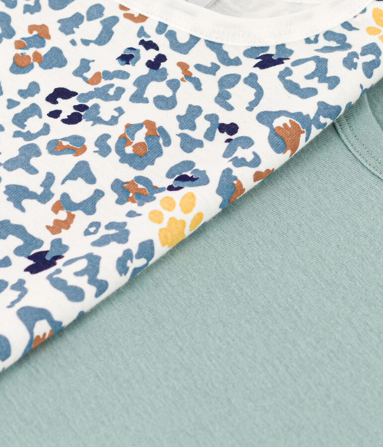 Lot de 2 tee shirts manches courtes en coton petit gar&ccedil;on multicouleur