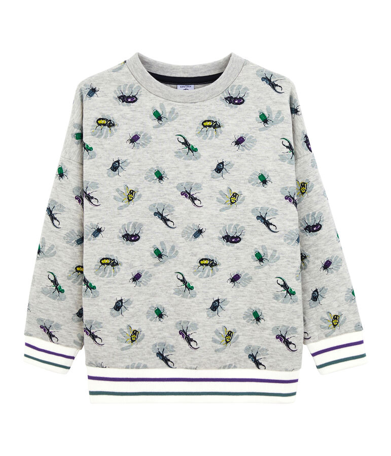 Sweat shirt enfant gar&ccedil;on gris/multicouleur