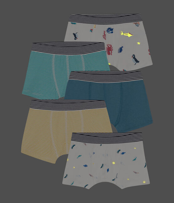 Set van 5 boxershorts voor jongens in katoen variante 1