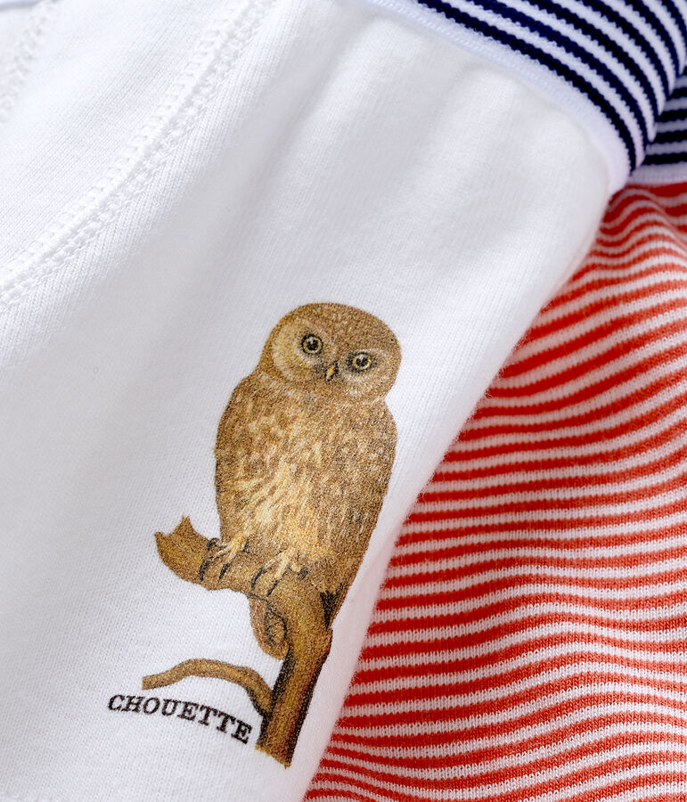 Set van 2 Petit Bateau x Deyrolle boxers voor kleine jongens Variante 1 PACK