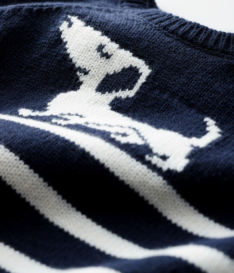 Pull ray&eacute; &agrave; motif b&eacute;b&eacute; gar&ccedil;on bleu/blanc