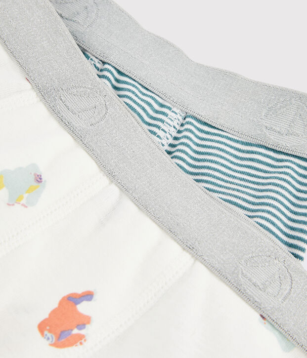 Lot de 2 boxers imprim&eacute; singe petit gar&ccedil;on multicouleur