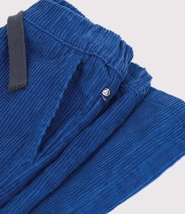 Fluwelen rechte broek blauw