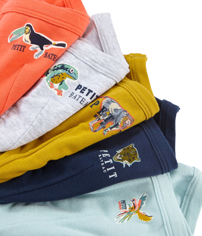 Lot de 5 slips petit gar&ccedil;on multicouleur