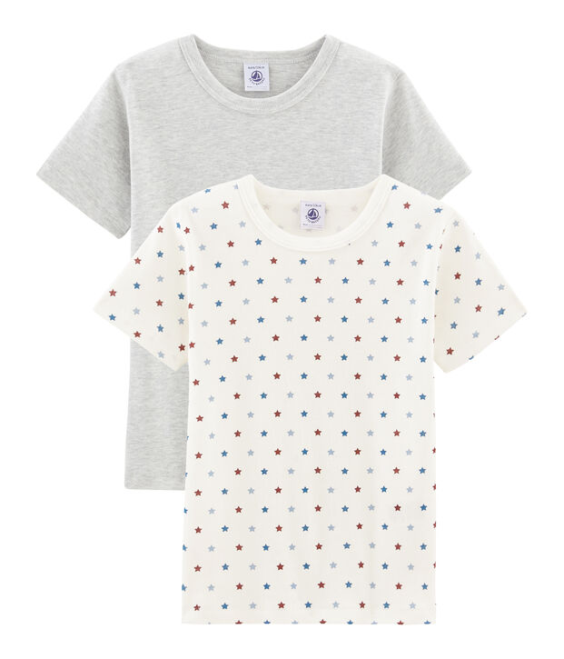 Duo de tee-shirts manches courtes petit gar&ccedil;on multicouleur