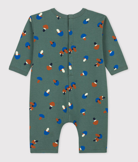 Lang pakje in molton met dessin voor baby's groen VALLEE/ecru MULTICO