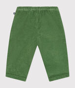 groen PALMERAIE