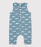 Combinaison longue bébé imprimée en molleton bleu ROVER/blanc MARSHMALLOW