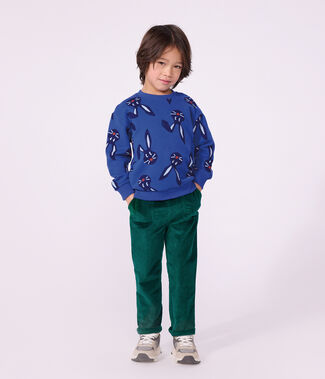 blauw/multicouleur