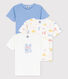 Lot de 3 t-shirts manches courtes Paris petit garçon en coton