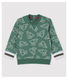 Sweater van geborsteld molton voor babyjongens