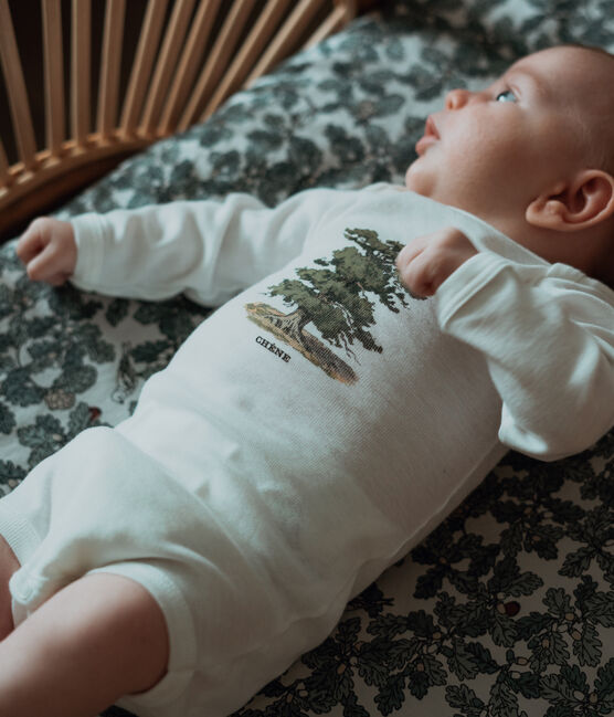 Set van 3 Petit Bateau x Deyrolle bodysuits met lange mouwen voor baby's variante 1