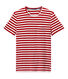 Heren-T-shirt met tweekleurige streepjes