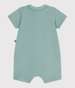 groen PAUL