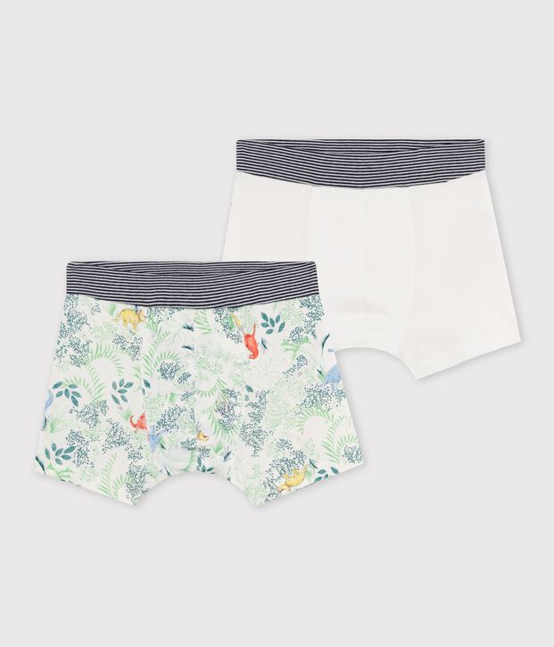 Duo de boxers petit gar&ccedil;on multicouleur