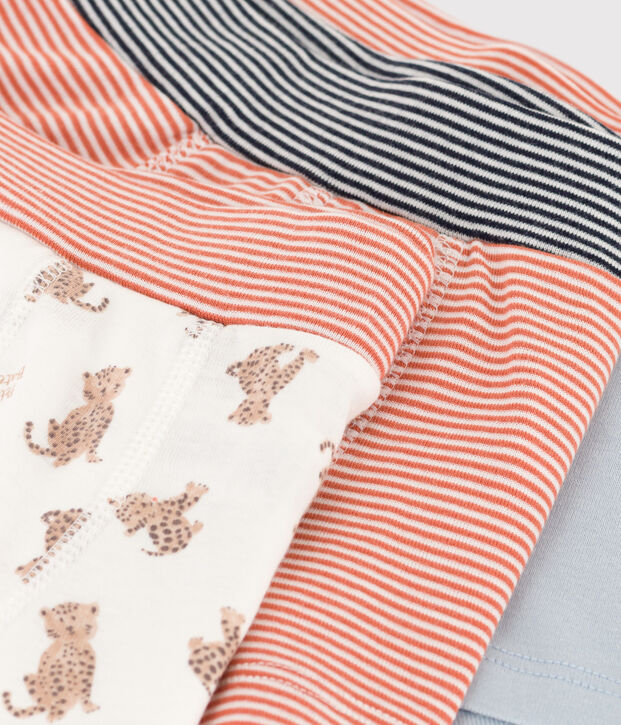 Lot de 3 boxers l&eacute;opards en coton  petit gar&ccedil;on multicouleur