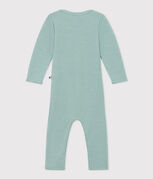 groen PAUL