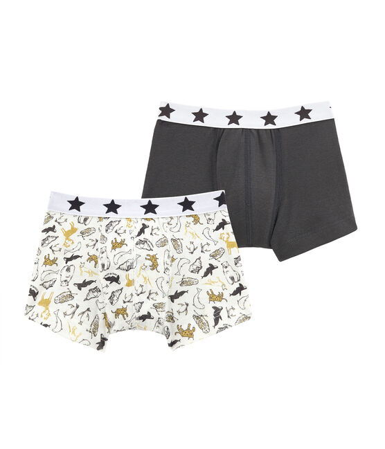 Set van 2 boxershorts voor jongens variante 1