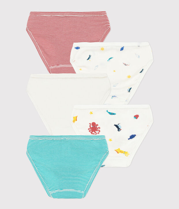 Lot de 5 culottes en coton petite fille multicouleur