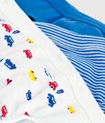 multicouleur