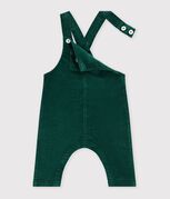 vert fonc&eacute;