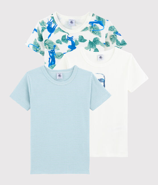 Set van 3 kleurrijke T-shirts voor kleine jongens met korte mouwen variante 1