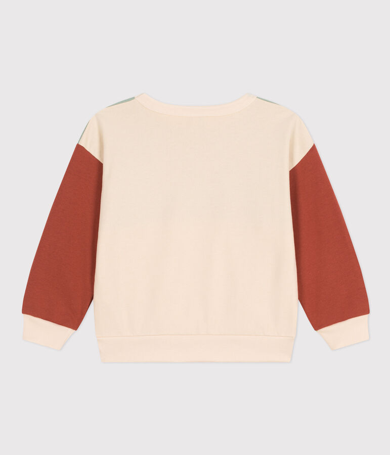 Sweatshirt colorblock en molleton enfant gar&ccedil;on &eacute;cru/multicouleur