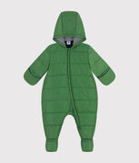 vert PALMERAIE