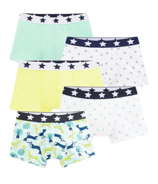 Lot de 5 boxers petit gar&ccedil;on multicouleur