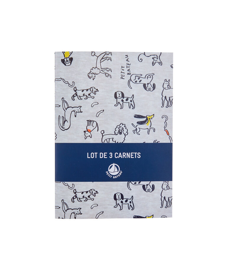 Set van drie schriftjes grijs/multicouleur