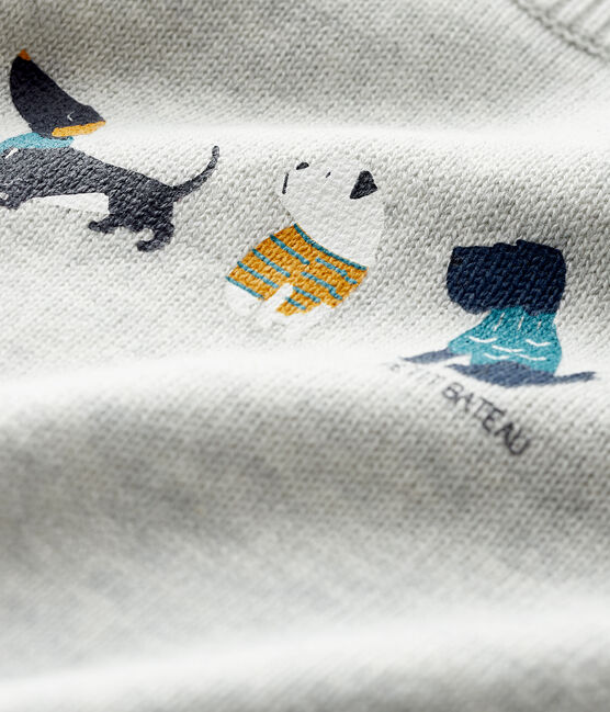 Pull à motif bébé garçon gris BELUGA CHINE