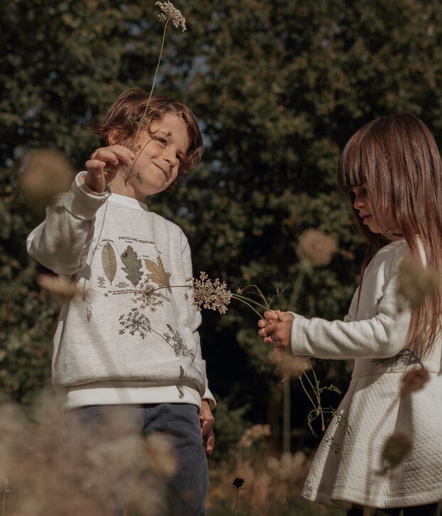 Bateau x Deyrolle sweatshirt voor jongen MONTELIMAR CHINE