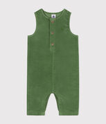groen PALMERAIE