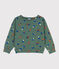 Sweater met print in molton voor jongens groen VALLEE/ecru MULTICO