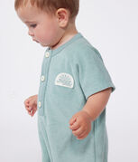 groen PAUL