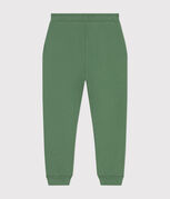 groen PALMERAIE