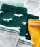 Set van 5 paar sokken voor baby jongen van katoenjersey. groen SOUSBOIS/wit MULTICO
