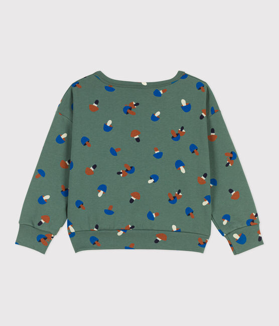 Sweater met print in molton voor jongens groen VALLEE/ecru MULTICO