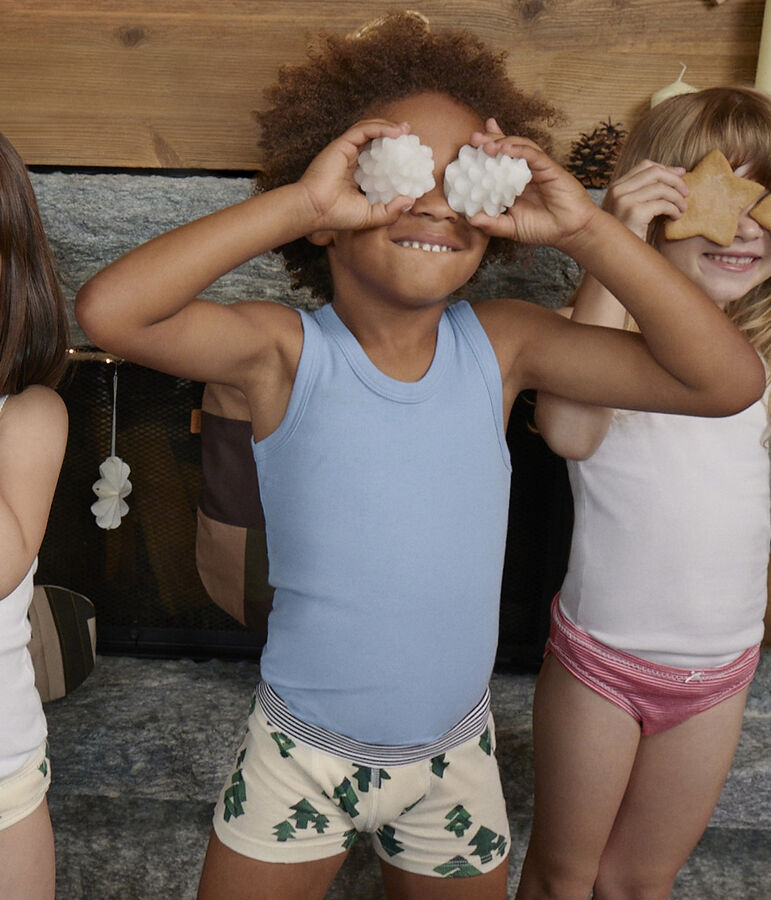 Lot de 3 boxers chalet en coton petit gar&ccedil;on multicouleur