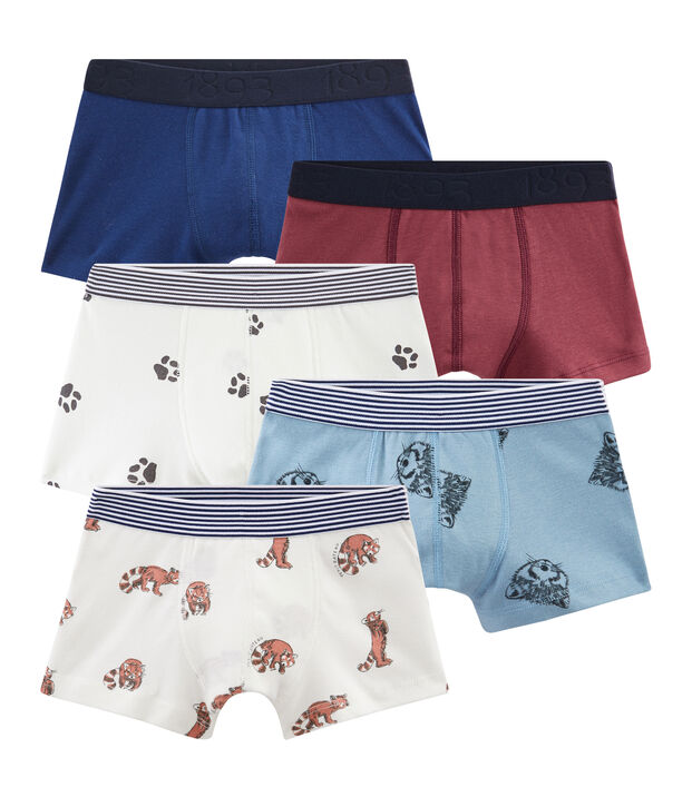 Set van 5 boxers voor jongens multicouleur